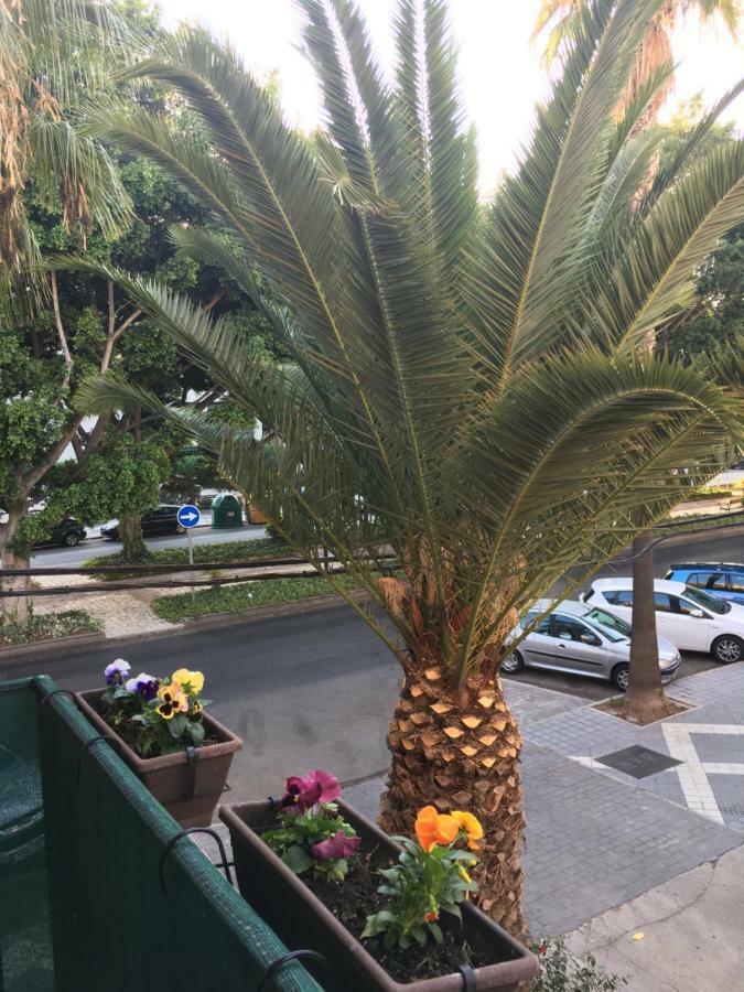 New Apartment & Parking Alcazaba มาลากา ภายนอก รูปภาพ